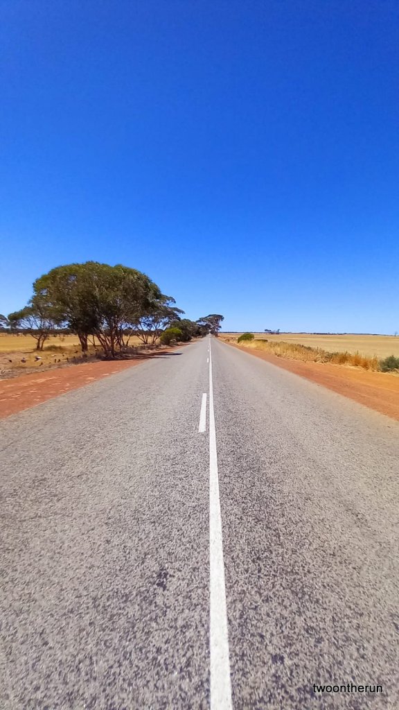 In der Pampa zw. Perth und Esperance