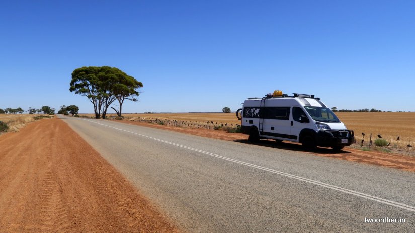 In der Pampa zw. Perth und Esperance