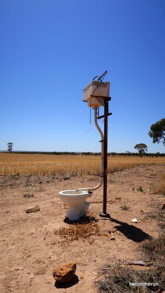 In der Pampa zw. Perth und Esperance